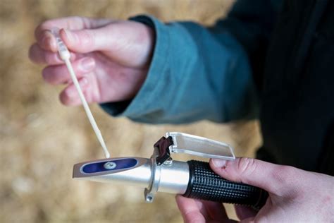 how to calibrate a veterinary refractometer|refractometer for colostrum.